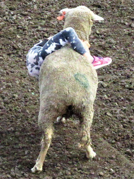 20210811_pt_shr_scf1bustinhard1atb